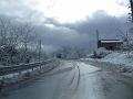 Neve (12)